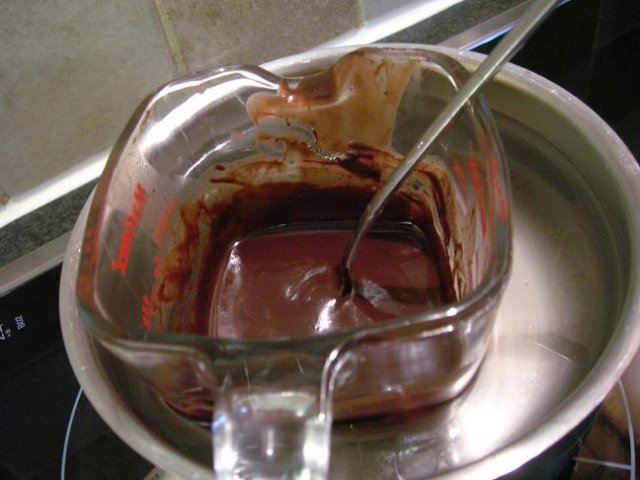 DSCN8975res.JPG, 52 KB